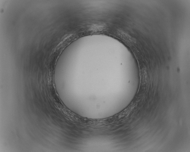 X0000073711158200608311747