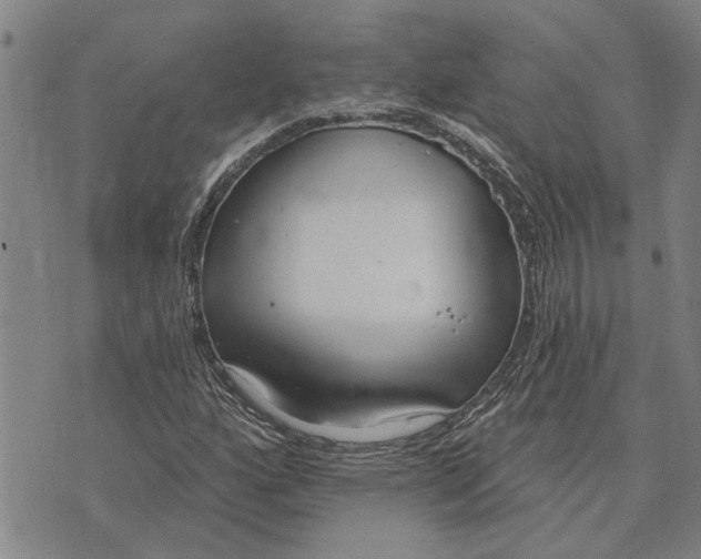 X0000073711160200608311747