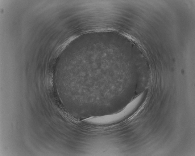 X0000073711161200608311747