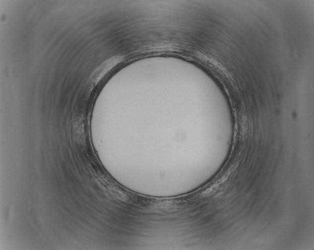 X0000073711162200608311747