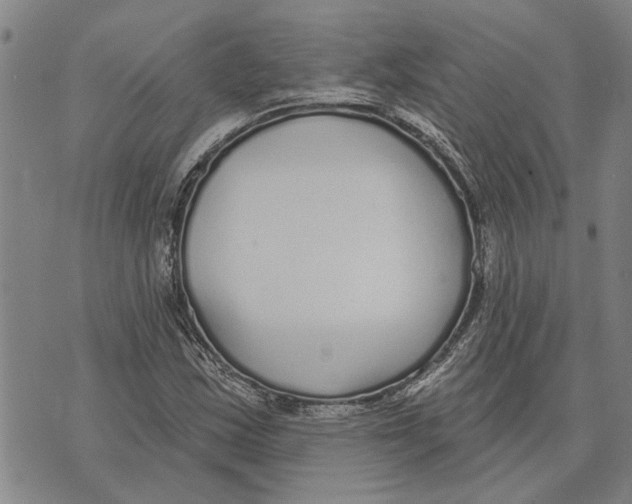 X0000073711163200608311747