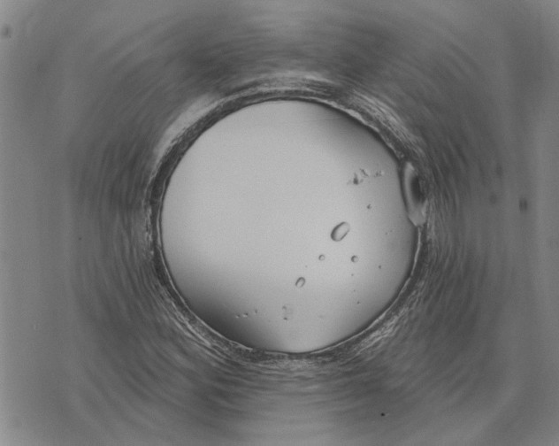 X0000073711164200608311747