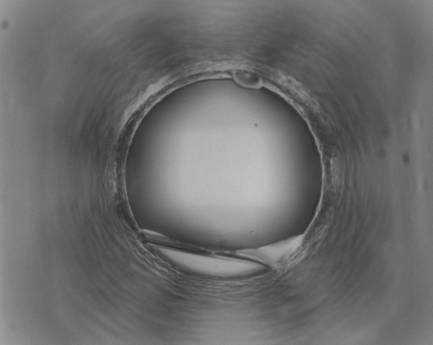 X0000073711165200608311747