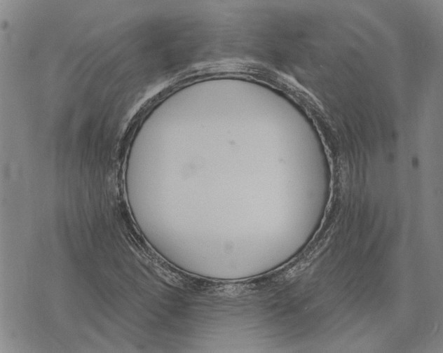 X0000073711166200608311747