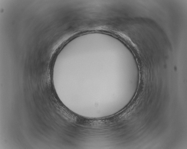 X0000073711167200608311747