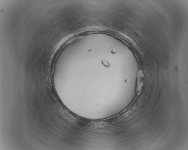 X0000073711168200608311747