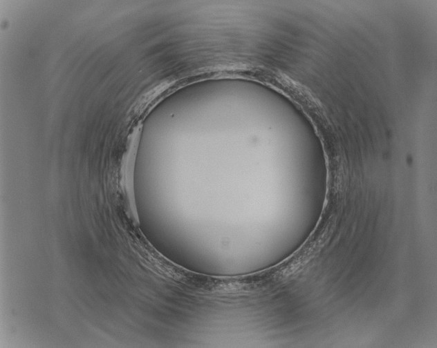 X0000073711169200608311747