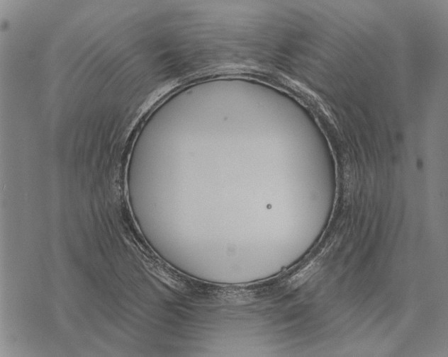 X0000073711170200608311747