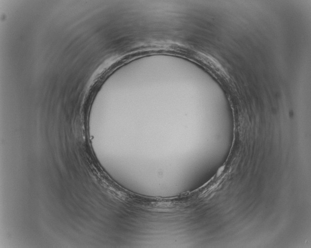 X0000073711172200608311747