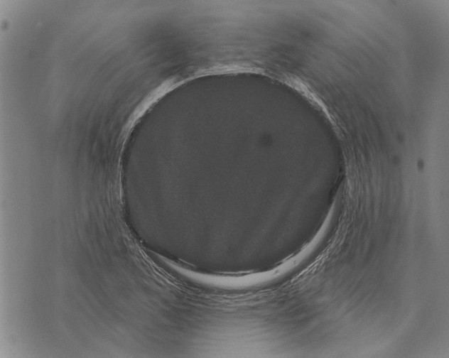 X0000073711173200608311747