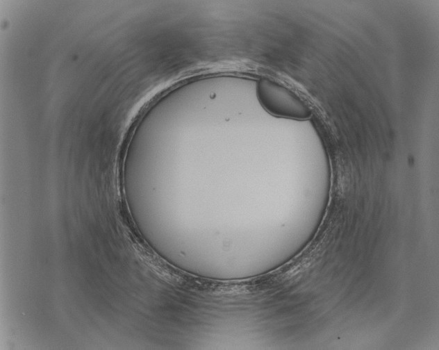 X0000073711174200608311747