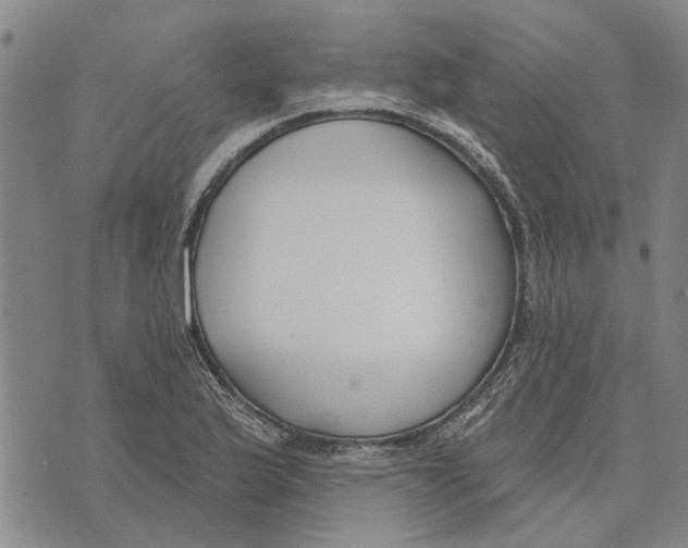 X0000073711175200608311747