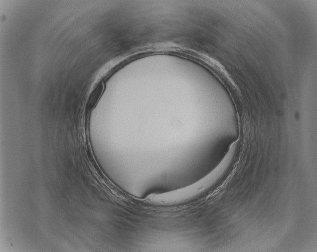 X0000073711176200608311747