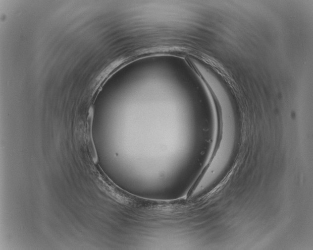 X0000073711177200608311747