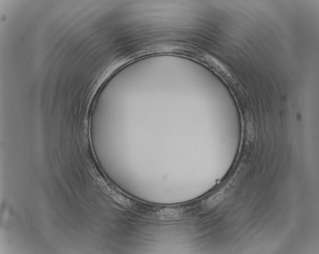 X0000073711178200608311747