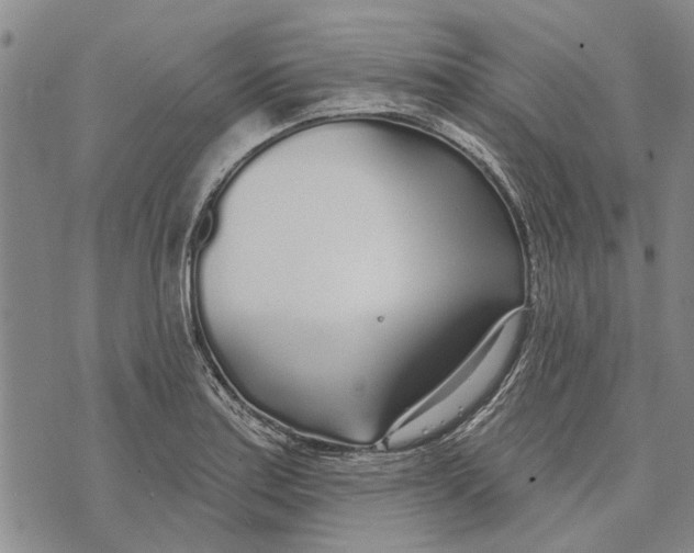 X0000073711179200608311747