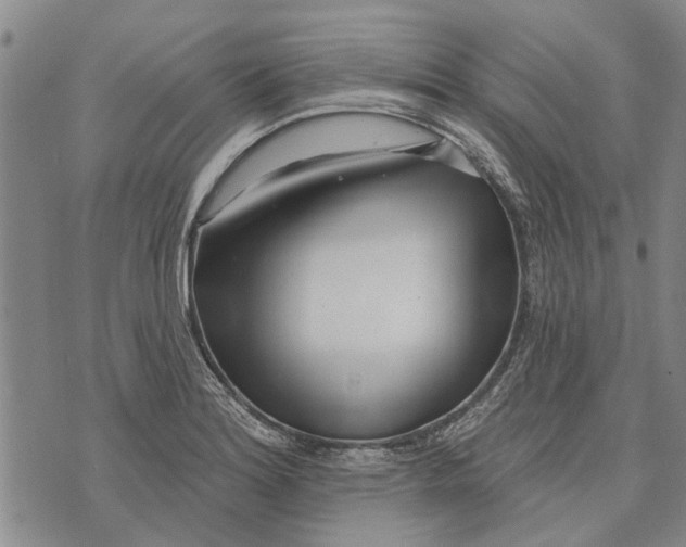 X0000073711180200608311747