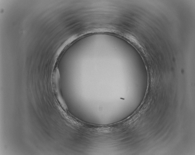 X0000073711181200608311747