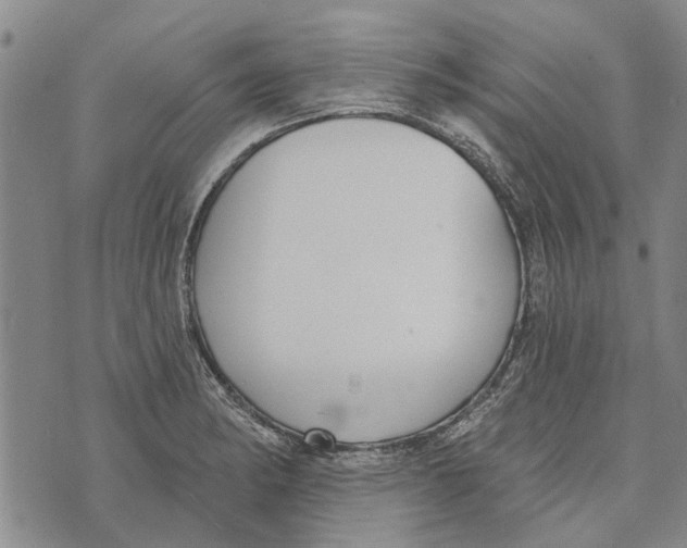 X0000073711182200608311747