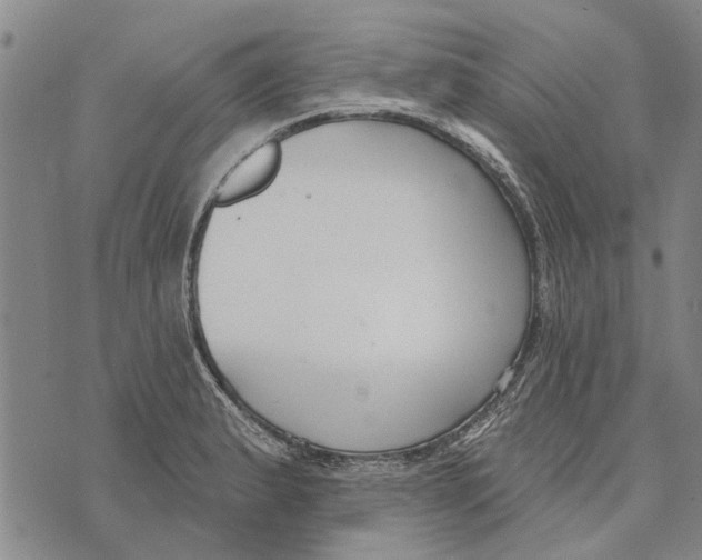 X0000073711183200608311747