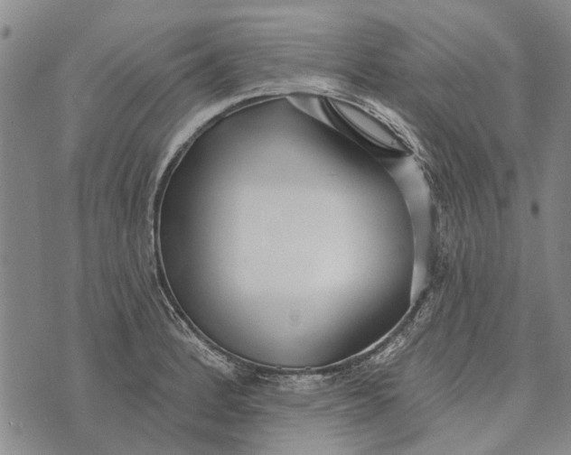 X0000073711184200608311747