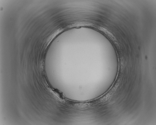 X0000073711185200608311747