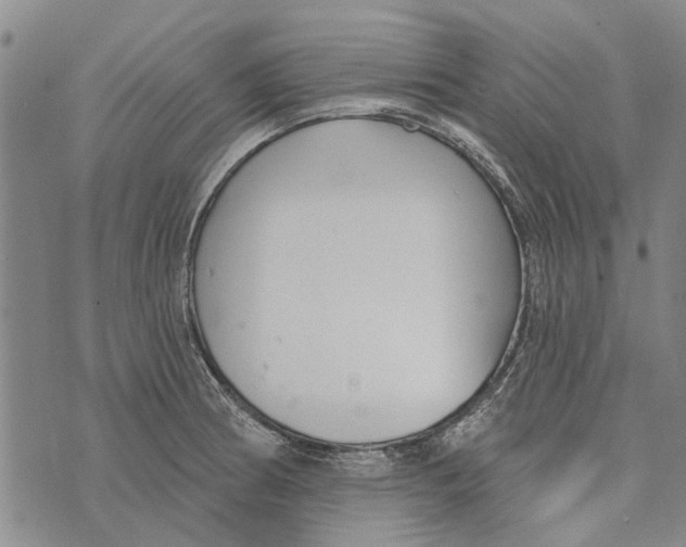 X0000073711186200608311747