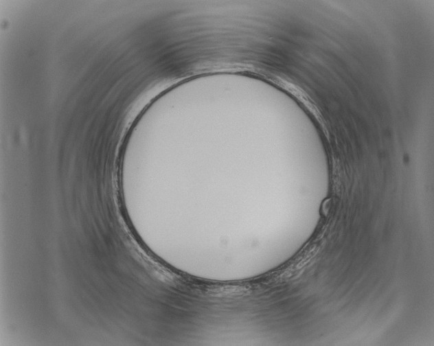 X0000073711187200608311747