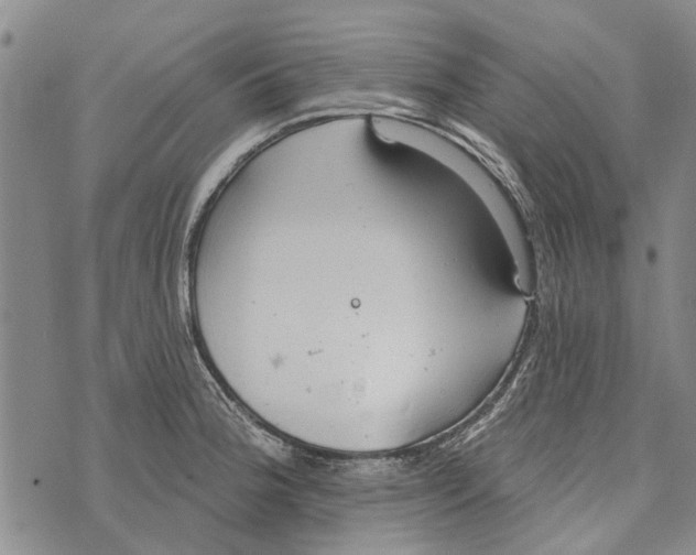 X0000073711188200608311747