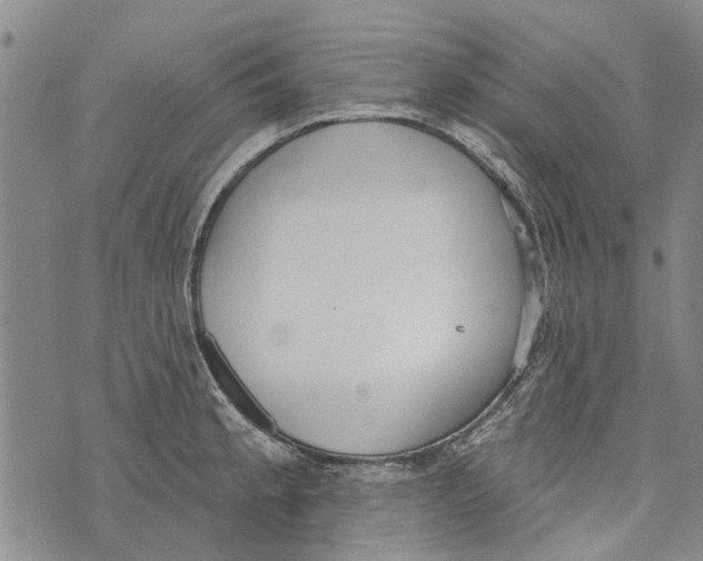 X0000073711189200608311747