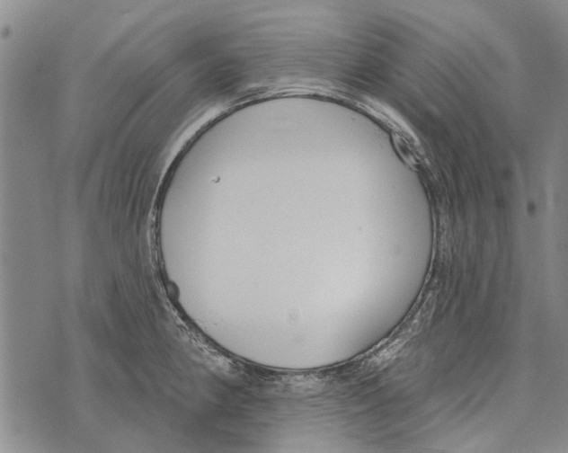 X0000073711190200608311747