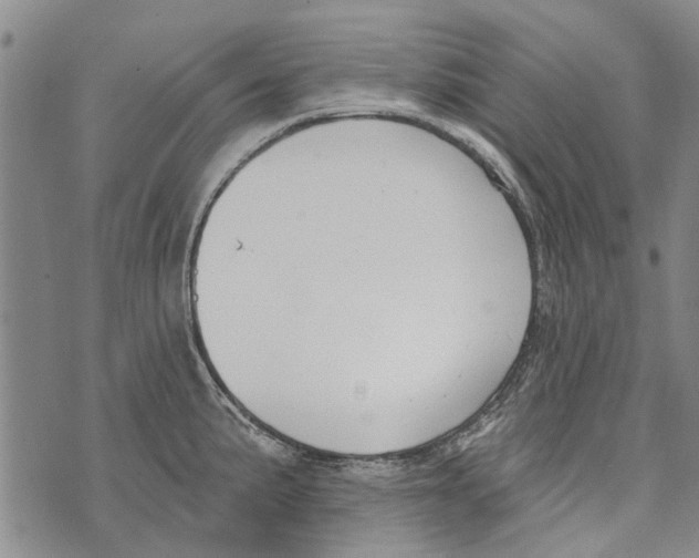 X0000073711191200608311747