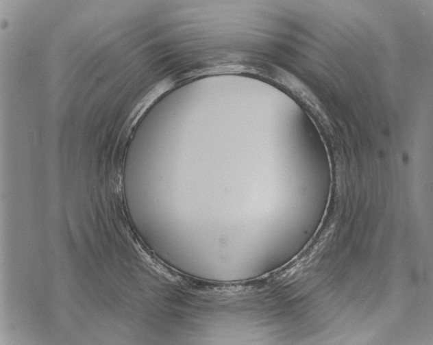 X0000073711193200608311747