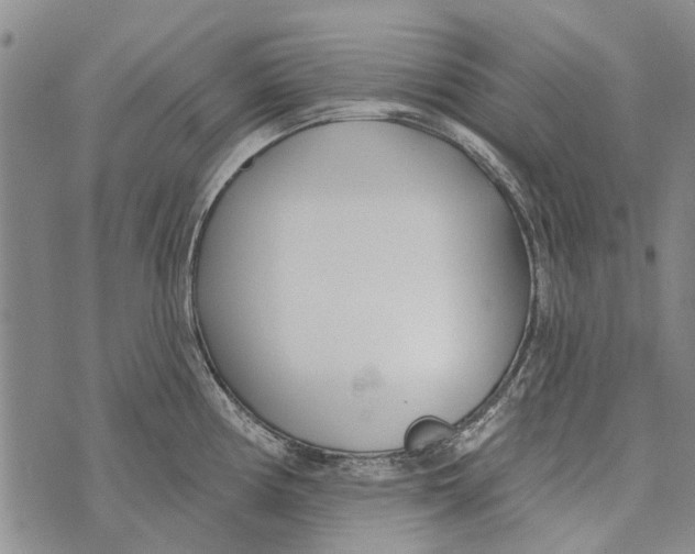 X0000073711194200608311747