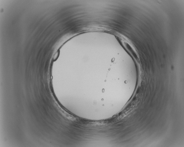 X0000073711195200608311747