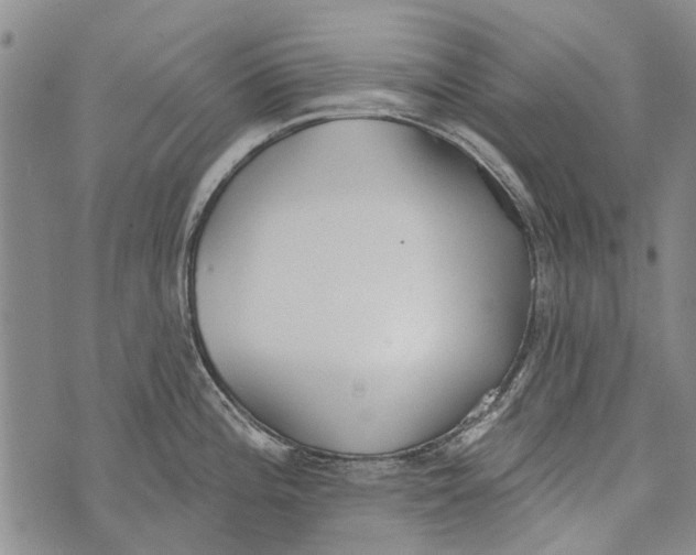 X0000073711196200608311747