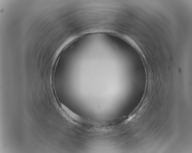 X0000073711197200608311747