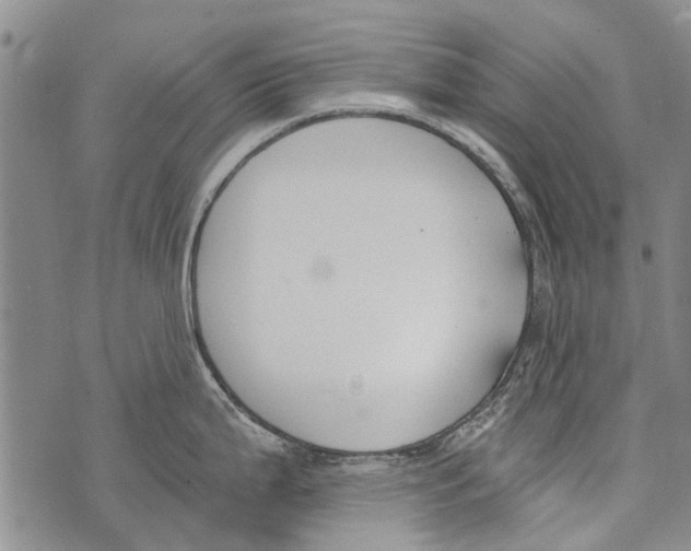 X0000073711199200608311747