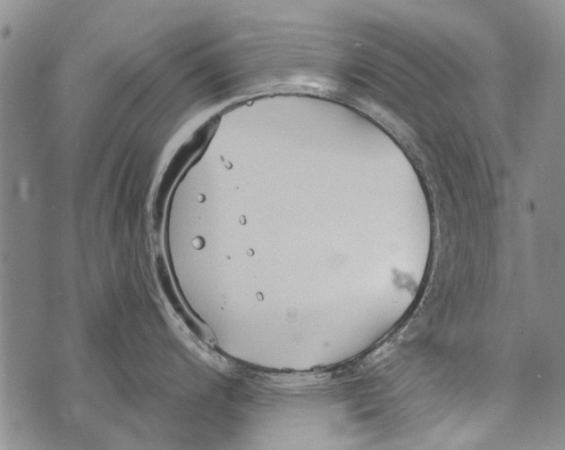 X0000073711200200608311747