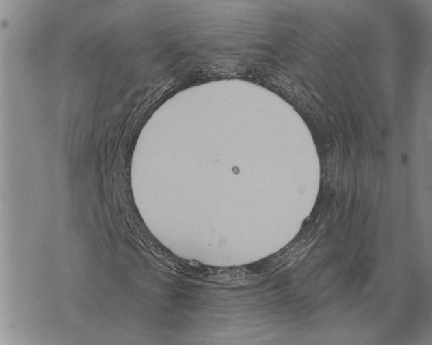 X0000073711201200608311746