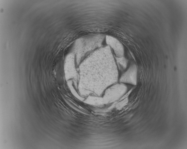 X0000073711202200608311746