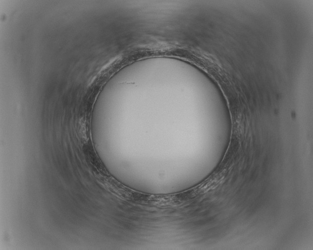 X0000073711205200608311746