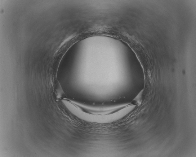 X0000073711206200608311746