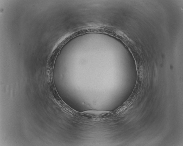 X0000073711208200608311746