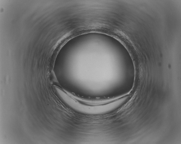 X0000073711210200608311746