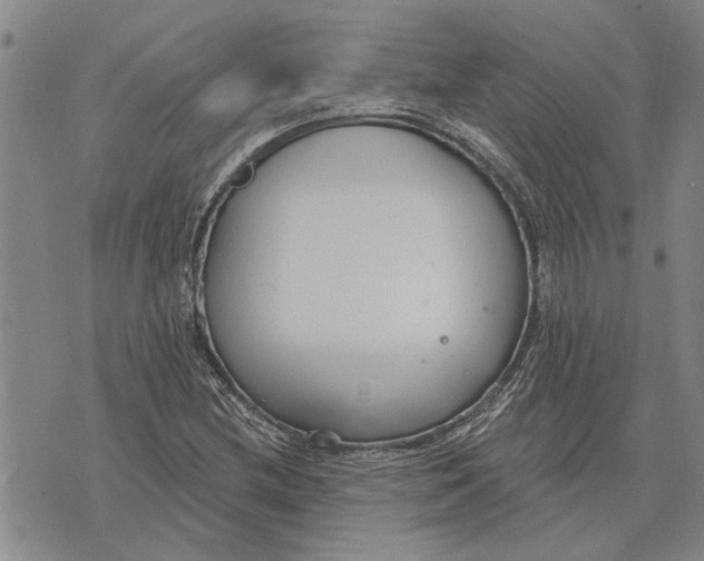 X0000073711212200608311746