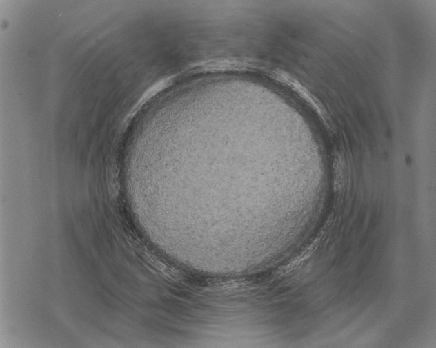 X0000073711213200608311746