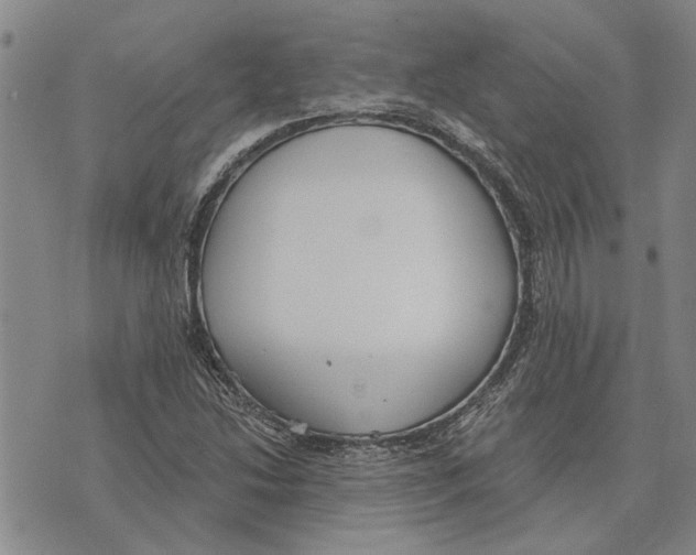 X0000073711214200608311746