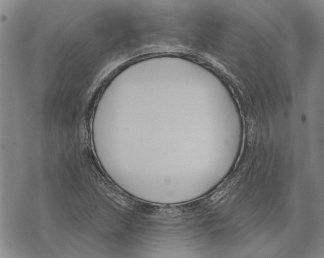 X0000073711215200608311746