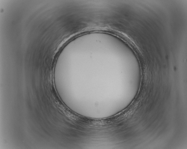 X0000073711220200608311746